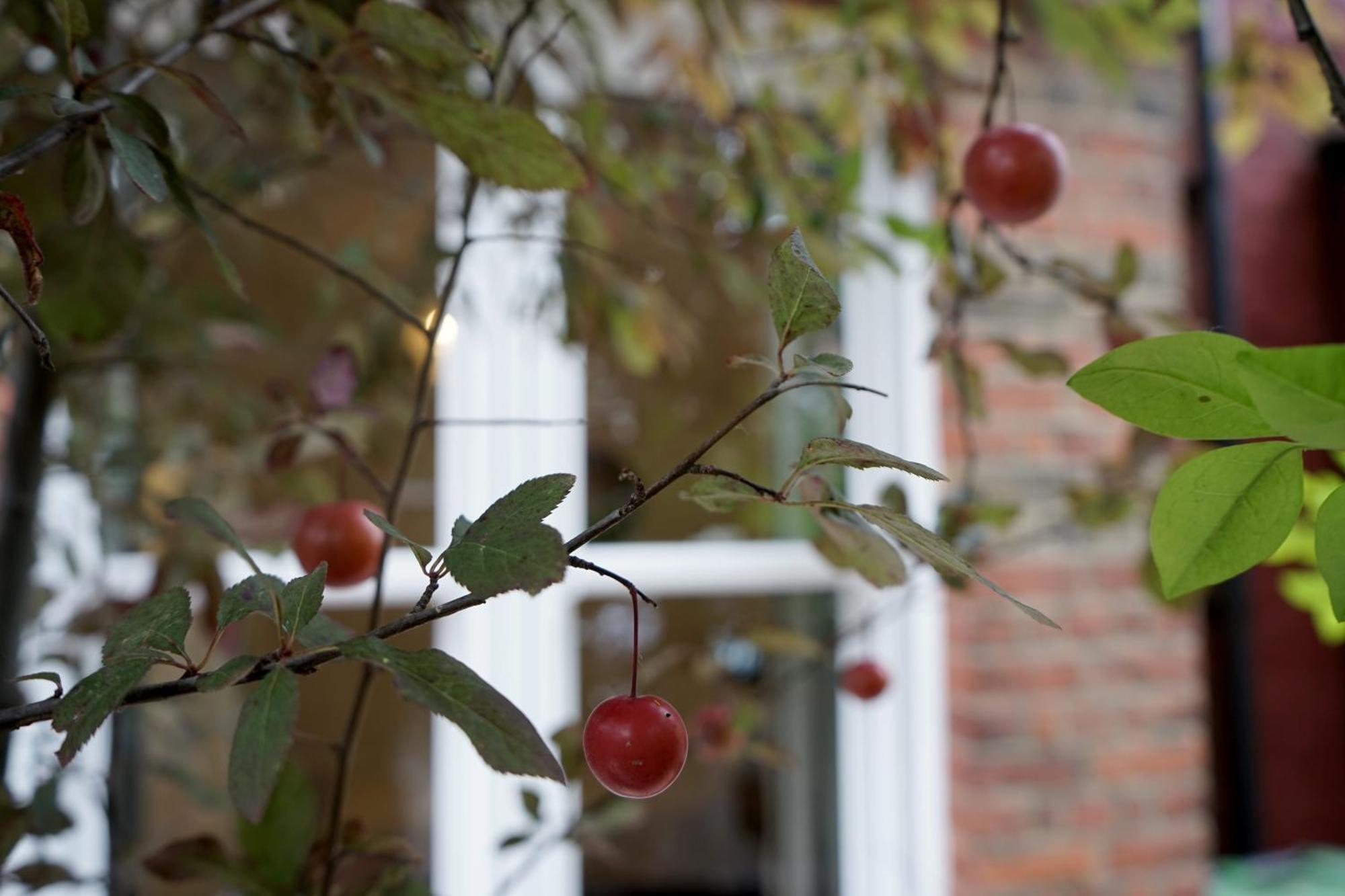 Villa Luxury London House Sleeps 13, 2 Minutes To Metro Exterior foto